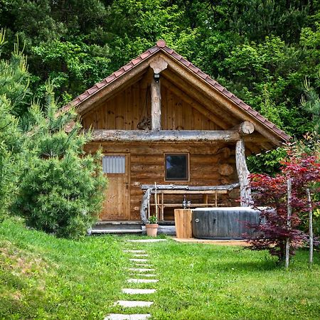 Hut At The Forest Male Brusnice Exteriér fotografie
